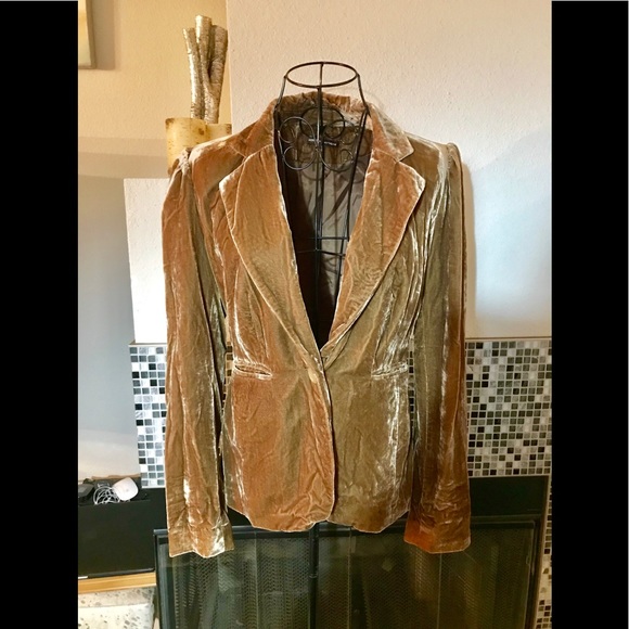 Adrienne Vittadini Jackets & Blazers - Adrienne Vittadini Brown Velvet Blazer